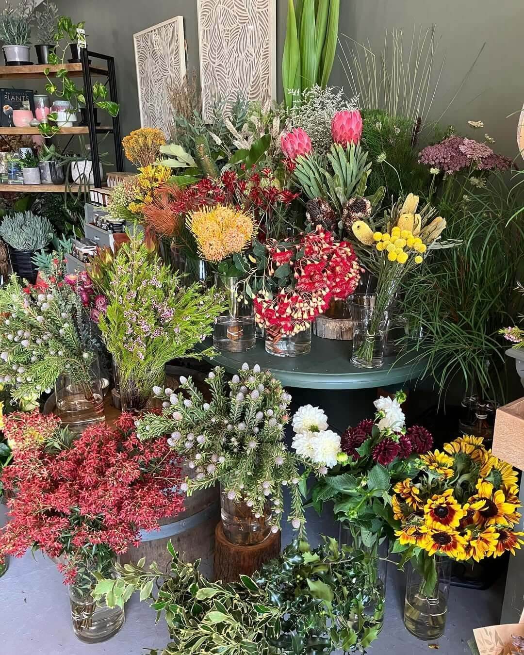 A stunning collection of native flowers